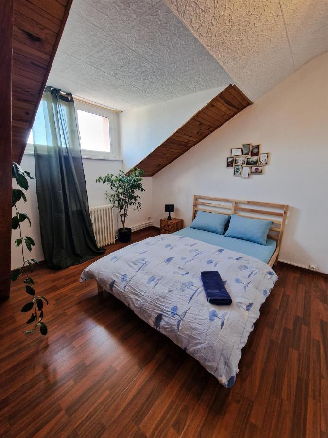Nice Room 4 Minutes From Basel Shared Apartment Saint-Louis  Esterno foto