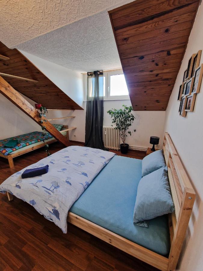 Nice Room 4 Minutes From Basel Shared Apartment Saint-Louis  Esterno foto